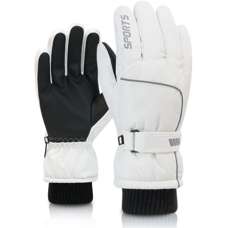 Men's AND WOMEN'S Professional - Ski Glove Waterproof recension och pris